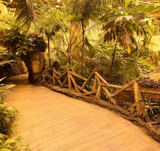 İstanbul Florya Akvaryum Turu 17 Mart