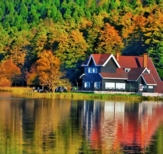 Günübirlik  Gölcük Tabiat Parkı – Abant Gölü Milli Parkı - Maşukiye Turu 13 Aralık