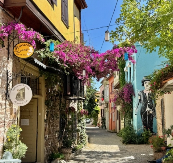 🌊🏝 Bağ Bozumu´na Özel Ayvalık– Bozcaada Turu 5-6 Eylül  🏝🌊
