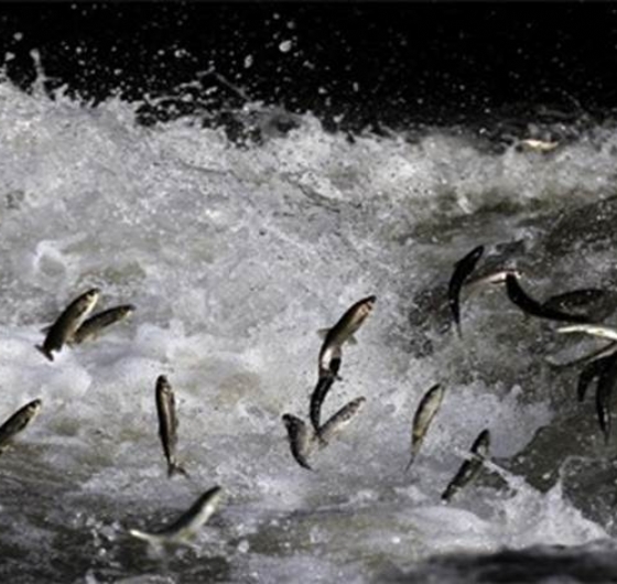 Efsane Doğu Anadolu Turu: Van Hakkari Şırnak Yüksekova Siirt Diyarbakır Tunceli 11-17 Mayıs
