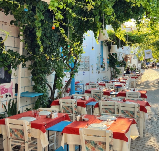 Günübirlik Bozcaada Turu 23 Mayıs