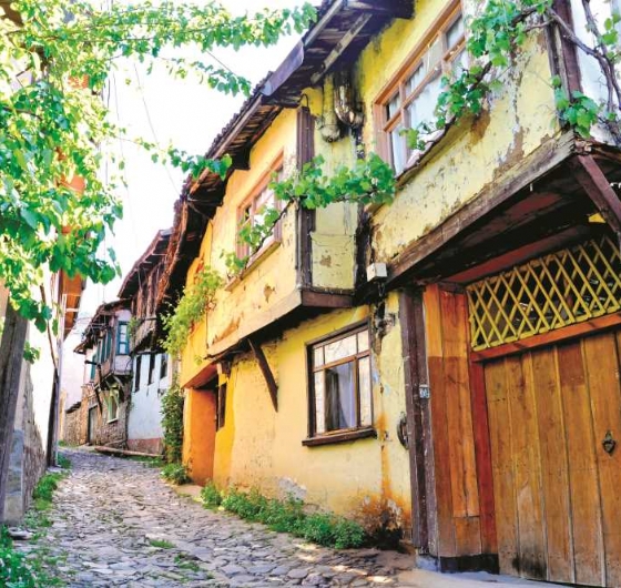 Günübirlik Cumalıkızık-Bursa Turu 16 Mayıs