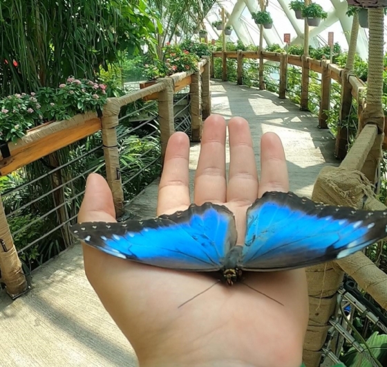 Mevlana Şehri Konya Turu 15-17 Mayıs