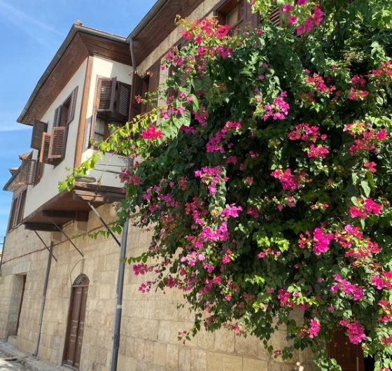 🍊Adana Portakal Çiçeği Festivali 3-5 Nisan🍊