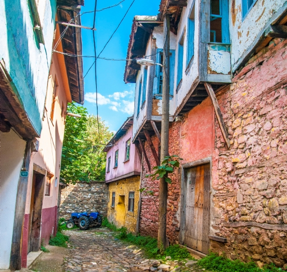 GÜNÜBİRLİK CUMALIKIZIK-ULUABAT GÖLÜ-GÖLYAZI-TRİLYE-MUDANYA 20 Eylül