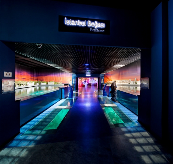 🎈23 Nisan Çocuk Bayramına Özel İstanbul Florya Akvaryum Turu 🎈