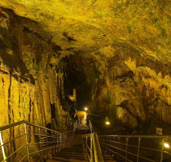 🍊Adana Portakal Çiçeği Festivali 3-5 Nisan🍊