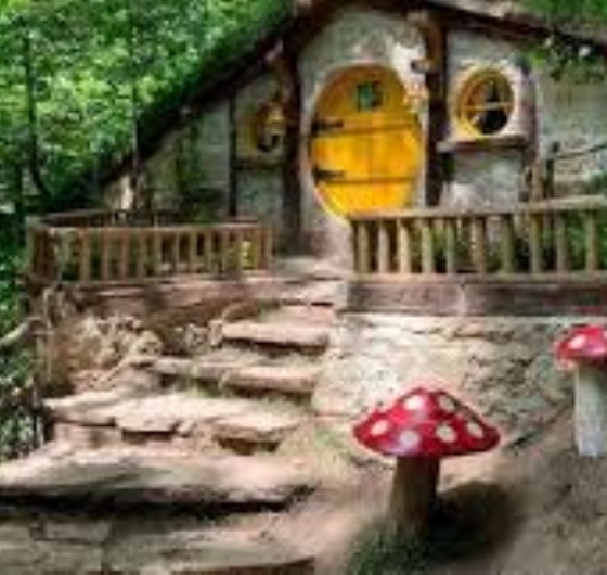 Konaklamalı Bolu – Aabant Gölü - Gölcük Gölü – Kartepe – Maşukiye – Ormanya 20-21 Aralık