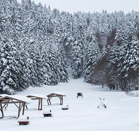 ❤️Sevgililer Günü´ne Özel Konaklamalı Bolu - Gölcük - Abant - Kartepe - Maşukiye - Ormanya 14-15 Şubat ❤️