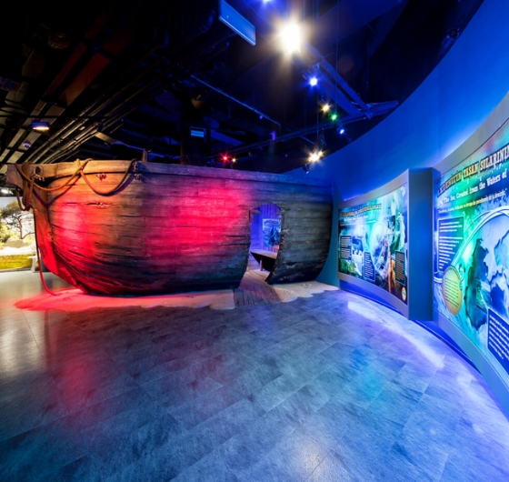 🎈23 Nisan Çocuk Bayramına Özel İstanbul Florya Akvaryum Turu 🎈