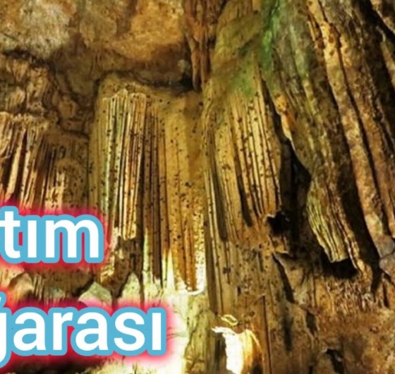 🍊Adana Portakal Çiçeği Festivali 3-5 Nisan🍊