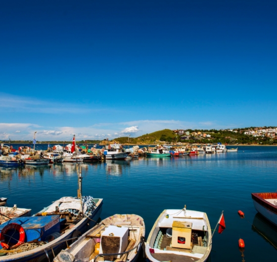 Güneyli Yüzme Molası 19 Temmuz