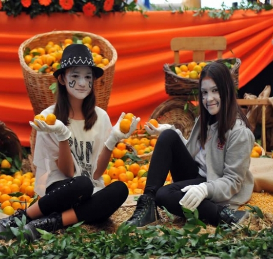 Seferihsar Mandalina Festivali 15-16 Kasım