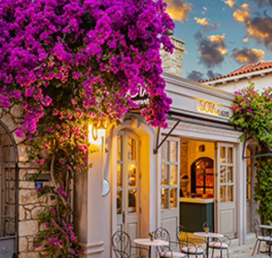 Bayındır Çiçek Festivali ve Mini Ege Turu 1-3 Mayıs